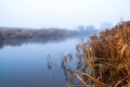 Autumn morning at a forest lake with fog and beautiful warm colors Royalty Free Stock Photo