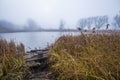 Autumn morning at a forest lake with fog and beautiful warm colors Royalty Free Stock Photo