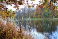 Autumn morning at a forest lake with fog and  warm colors Royalty Free Stock Photo