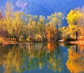 Autumn morning by the lake Royalty Free Stock Photo