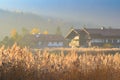 Autumn morning landscape with fog over lake Royalty Free Stock Photo