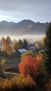 Autumn Morning In Lolo, Montana