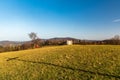 Autumn morning on Loucka hill in Slezske Beskydy mountains