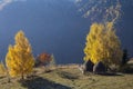 Autumn morning in Maguri-Racatau, Romania