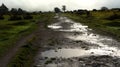 Wet moorland track with puddles, Cornwall Royalty Free Stock Photo