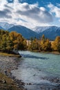 Autumn morning in the mountain Altai, Chuya river Royalty Free Stock Photo