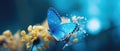 Autumn morning with pretty blue wing butterfly in outdoor garden sitting on flowers - generative AI