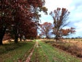 A autumn morning at Valley Forge National Historic Park located in Valley Forge, Pennsylvania, USA Royalty Free Stock Photo