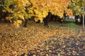 Autumn in Moscow city park