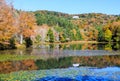 Autumn Moses Cone Memorial Park North Carolina Royalty Free Stock Photo