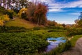 Autumn in the Mount Lofty Botanic Gardens Royalty Free Stock Photo