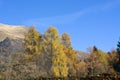 Autumn on Mount Serva, Belluno, Dolomites Royalty Free Stock Photo