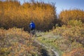 Autumn mountain biking