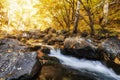 Autumn mountain colors of Old River Stara reka , located at Central Balkan national park in Bulgaria Royalty Free Stock Photo