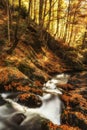 Autumn mountain colors of Old River Stara reka , located at Central Balkan national park in Bulgaria. Royalty Free Stock Photo