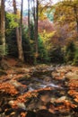 Autumn mountain colors of Old River  Stara reka  , located at Central Balkan national park in Bulgaria Royalty Free Stock Photo