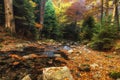 Autumn mountain colors of Old River  Stara reka  , located at Central Balkan national park in Bulgaria. Royalty Free Stock Photo