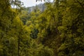 Autumn mountain forest with foliar trees in Gaucasus, Mezmay