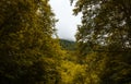 Autumn mountain forest with foliar trees in Gaucasus, Mezmay