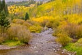 Autumn mountain landscape with forest and creek on a cloudy day Royalty Free Stock Photo