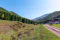 Autumn mountain landscape. green and yellow trees on the hillside. Forest in the mountains. Kyrgyzstan Royalty Free Stock Photo