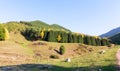 Autumn mountain landscape. green and yellow trees on the hillside. Forest in the mountains. Kyrgyzstan Royalty Free Stock Photo