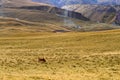 Autumn mountain landscape Royalty Free Stock Photo