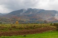 Autumn mountain landscape in the Ukrainian Carpathians - yellow and red trees combined with green needles. Stratus clouds on a fog Royalty Free Stock Photo