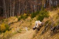 Autumn mountain landscape Wielka Racza