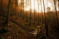 Autumn mountain landscape Wielka Racza