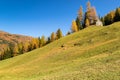 Autumn mountain landscape with yellow larch trees. Austrian Alps, Tyrol, Austria Royalty Free Stock Photo