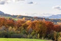 Autumn mountain landscape - yellowed and reddened autumn trees combined with green needles and blue skies. Royalty Free Stock Photo