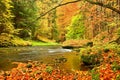 Autumn mountain river. Blurred waves,, fresh green mossy stones and boulders on river bank covered with colorful leaves from old t Royalty Free Stock Photo