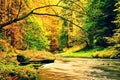 Autumn mountain river. Blurred waves,, fresh green mossy stones and boulders on river bank covered with colorful leaves from old t