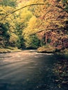 Autumn mountain river with low level of water, fresh green mossy stones and boulders on river bank Royalty Free Stock Photo