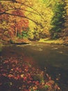 Autumn mountain river with low level of water, fresh green mossy stones and boulders on river bank Royalty Free Stock Photo