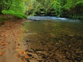 Autumn mountain river with low level of water, fresh green mossy stones and boulders on river bank covered with colorful leaves Royalty Free Stock Photo