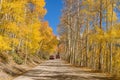 Autumn Mountain Road - Boreas Pass Royalty Free Stock Photo