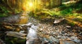Autumn. Mountain spring, forest landscape Royalty Free Stock Photo
