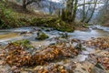 Autumn Mountain stream landscape Royalty Free Stock Photo