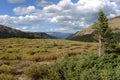 Autumn Mountain Top