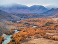 Autumn mountain valley with golden larches and a winding turquoise river under thick snow clouds