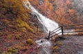 Autumn mountain waterfall stream in the rocks - Colorful red fallen dry leaves - Calimanesti, Romania Royalty Free Stock Photo