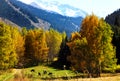 Autumn in the mountains with colorful forest, Almaty, Kazakhstan. Royalty Free Stock Photo
