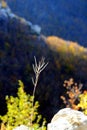 The autumn mountains colors, Roccamorice