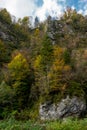 Autumn in the mountains