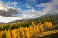 Autumn in the mountains of Europe,