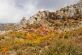 Autumn in mountains Royalty Free Stock Photo