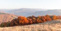 Autumn mountains panorama with orange forest and yellow grass Royalty Free Stock Photo