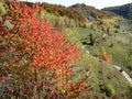 Autumn in the mountains